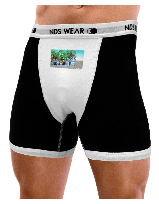 Palm Springs Watercolor Mens Boxer Brief Underwear